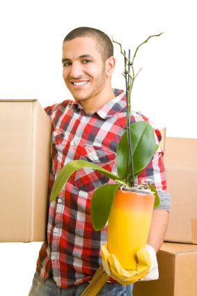 SE1 Moving Firms SE11